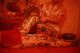 :    SPA-Relax